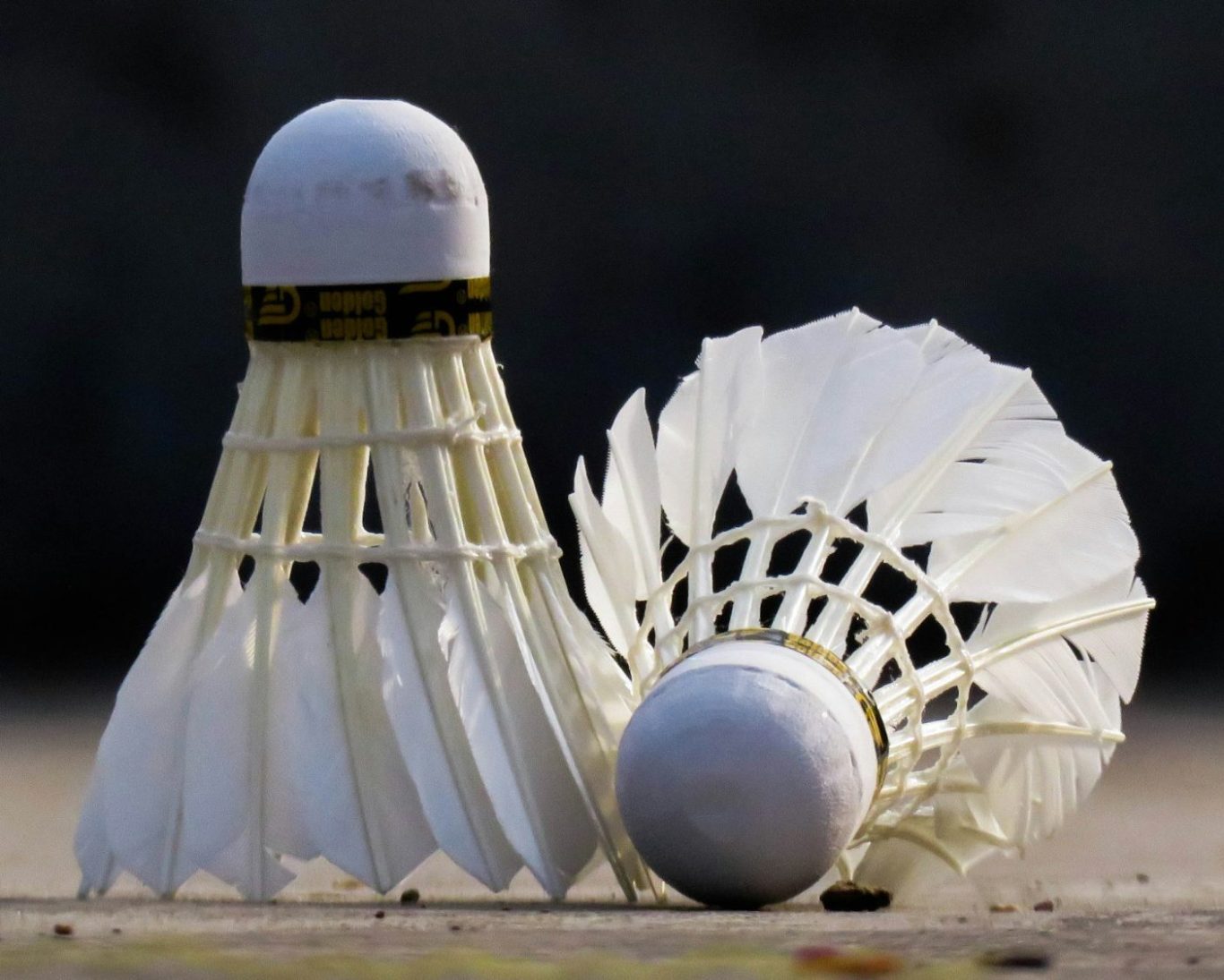 Zwei Federbälle in der Nahaufnahme vor dunklem Hintergrund auf einem Sporthallenboden.